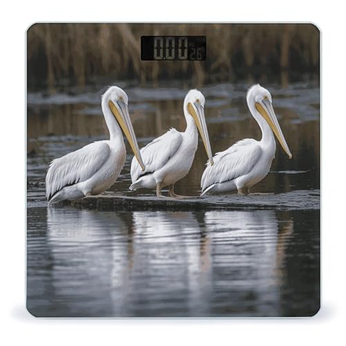 Three Pelicans �o�X���[���X�P�[�� �����P�x�t���X�N���[�� �̏d�v ���m�ȃo�X���[���{�f�B�X�P�[�� �̏d �o�X���[�� �y�b�g �z�[�� �Q�� �M�t�g