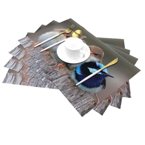 Sets de table en PVC anti-taches faciles à nettoyer