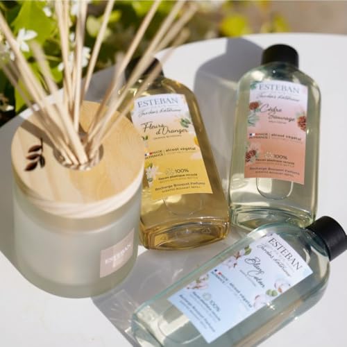 Recharge pour Bouquet parfumé Cèdre Sauvage 200 ML diffuseur bâtonnets parfum maison boisé