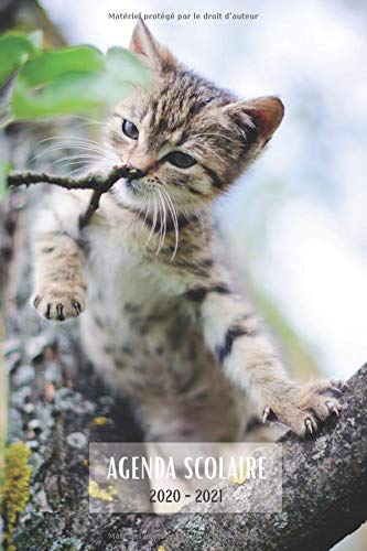 Télécharger agenda scolaire 2020 2021: agenda fille 2020 2021 | semainier (sur 2 pages) pour les élèves et ét Francais PDF