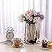 VanEnjoy Large Silver Vase - Wide Mouth, Ceramic Silver Vases for Home Decor