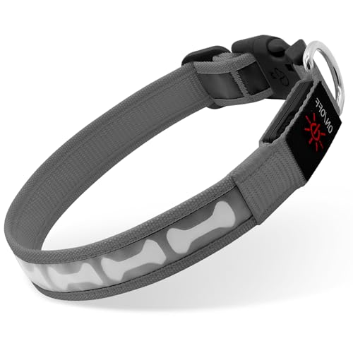 Flashseen Light Up Dog Collars, Adjustable LED Dog Collar Rechargeable, RGB 7 Colors Changeing Glow in The Dark Dog Collars Light Glowing Collars for Night Walking for Dogs (Grey, Medium)