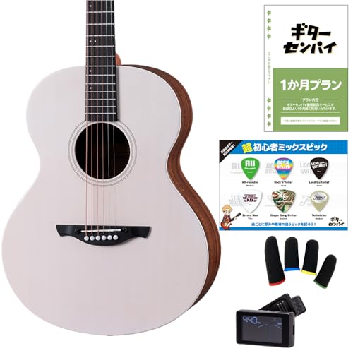 ジェームス アコースティック ギター」の人気商品一覧 | 安い