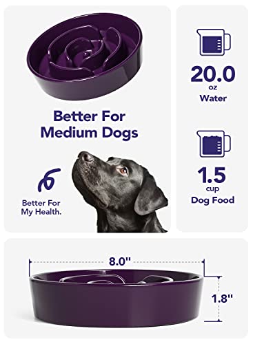 LE TAUCI Slow Feeder Dog Bowls Ceramic, 1.5 Cups Slow Feeding Dog Bowl Small Medium Breed, Puppy Slow Feeder Bow for… - Image 3