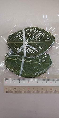 ~j@̗t@(@t@)@O[@100i50×2oj×30o ( L9-10cm×W6 )@Ɩp@aَqo