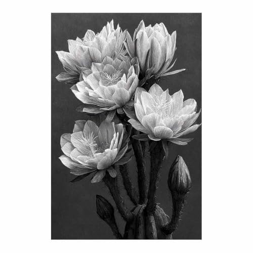 Toile Fleurs de nuit de cactus pour la décoration du salon