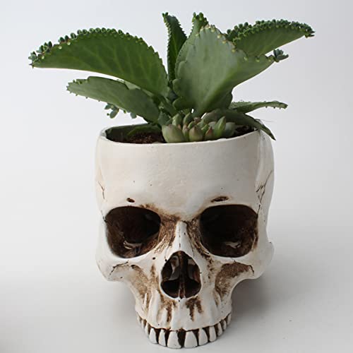 Uonlytech Caveira Cabeça Plantador Cabeça Caveira Vaso de Flores Porta-Caneta Esqueleto Crânio Estat
