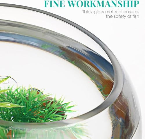 بولة زجاج فقاعية 20 سم - فازة زجاج شفافة مستديرة أصيص كروي - بولة أسماك متعدد الاستخدامات، أصيص نبات هوائي لزراعة النباتات العصارية للمنزل والمكتب وديكور الزفاف