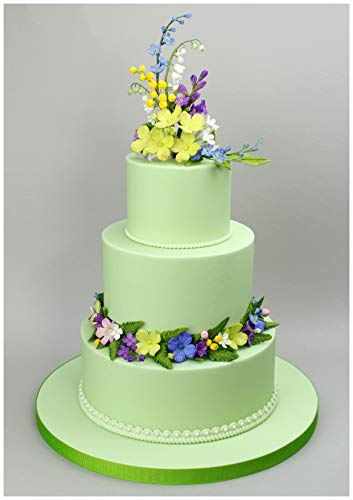 Flower Pro Ferns Silicone Mold For Cake Decorating (By Chef Nicholas Lodge For Katy Sue Designs) #TOP4