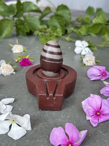 Image of Shivam VASTU AKAL 1.5 inch Original Narmadeshwar Narmada Shivling with 3 inch Narmada Stone Yoni Base Jaladhari (Janeudhari Shivling, Brown Flate Jaladhari)