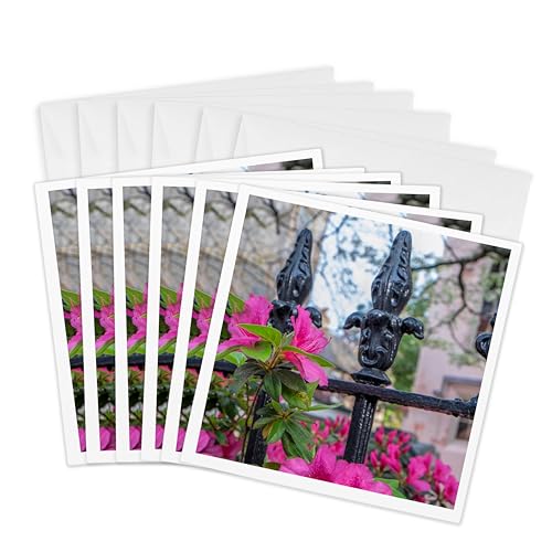 Cartes de vœux photo Charleston en haute définition de 3dRose