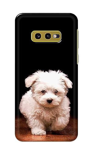 Image of PRINTFIDAA� Printed Hard Back Cover Case for Samsung Galaxy S10e Back Cover (Puppy Dog) -2808