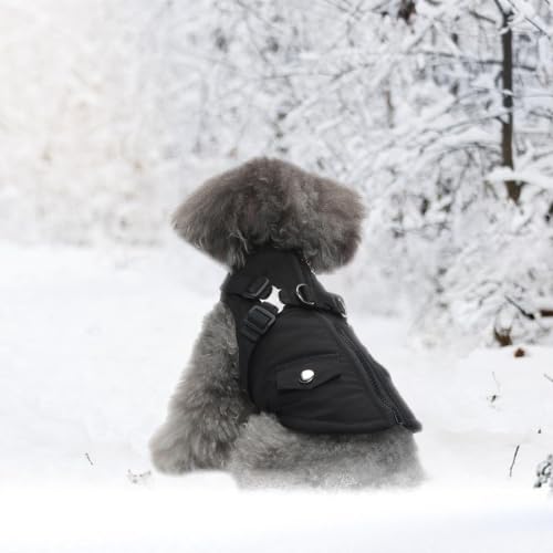 Ropa para cachorros reversible y cortavientos ideal para paseos invernales 4