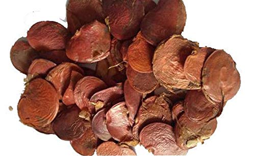 Urancia® Palas Beej Dhak Beej Tesu Beej Butea monosperma Seeds (B01GX7U92W) Amazon Price History, Amazon Price Tracker