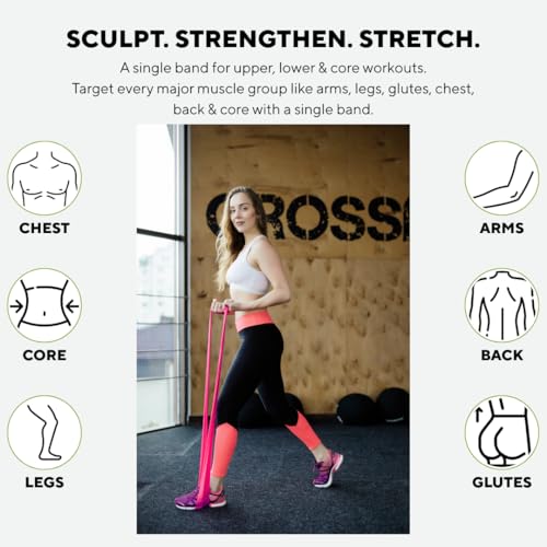 Image of PulseITThera Resistance Bands for Workout. Pilates, Yoga & Home Exercise Bands. Latex Thera Bands for Gym, Strength Training, Stretching & Toning. Fitness Bands for Men & Women (Pink)