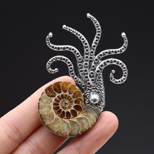 Image of Natural Fossil Brooches Ammonite Shape Conch Shell Apparel Pin for Coat Dress Clothes Decoration