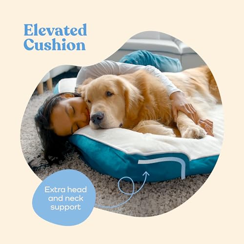 Orthopedic Dog Sofa Bed – Deluxe Comfort for Medium Dogs – Breathable, Waterproof, and Easy to Clean.