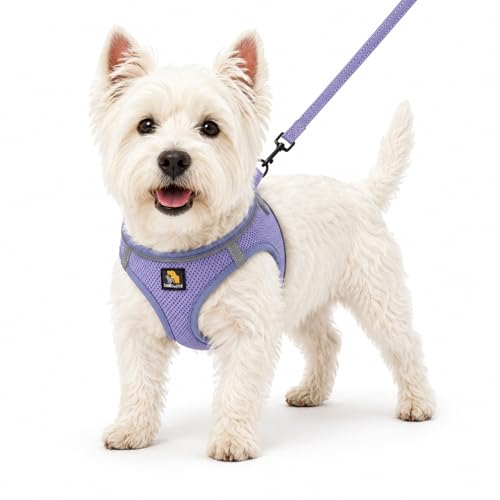 BELLA & PAL Step in Vest Harness for Small and Medium Dogs, No Pull Small Dog Harness with Leash Set, Comfortable Air Mesh Puppy Vest Harness with Reflective Strip (Lavender, XS)