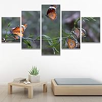 SIGNWIN 5 Panel Canvas Wall Art Modern Art Ants Butterfly Colorful Insects Minimalist Multicolor Photography for Home Decorations Ready to Hang - 60