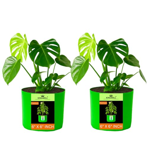 Image of Kingwell Grow Bags 6x6 inches -Pack of 2 Bags for Plants Gardening Home, Grow Bags for Terrace Gardening