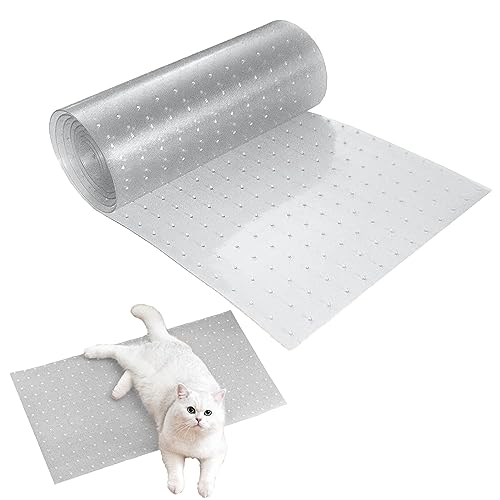 Find The Best Cat Scratch Carpet Protector Reviews & Comparison Katynel