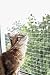 Kerbl Transparent Cat Safety Net, 4 x 3 m