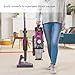 Vax Air Lift Pet Max Corded Upright Bagless Vacuum Cleaner, Lightweight, Handheld Tool Attachments for Pet Hair, Car, Upholstery, Bed, Mattress, Home cleaning, 850W, 6.2kg, Black/Pink, UCPMSHV1