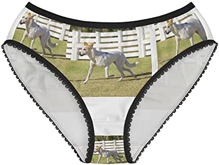 Canaan Dog Panties, Canaan Dog Underwear, Briefs, Cotton Briefs, Funny Underwear, Panties For Women