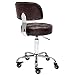 CoVibrant Lockable Stool with Back Ergonomic Rolling Hydraulic Adjustable for Doctor Esthetician Artist Work Small Office Desk (Brown Back)