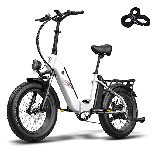 Fafrees FF20 Polar, Elektrofahrrad e-Bike klappbar 20'*4.0 Fat Tire,...