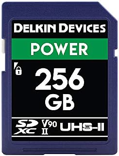 Delkin Devices 256GB POWER SDXC UHS-II (V90) Memory Card (DDSDG2000256)