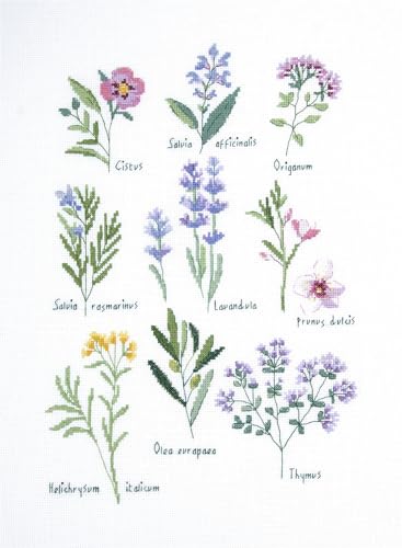 DMC Herbes - Kit point de croix