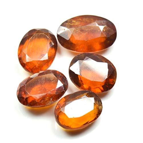 Hessonite de Ceylan ovale éclat flamboyant pour sertissage haut de gamme