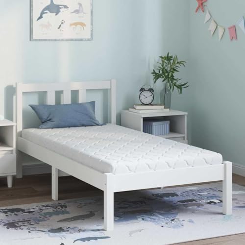 Matelas blanc 80 x 160 cm en tissu jacquard avec couche de noix de coco Matelas confortable en mousse à froid pour enfants et adultes pour canapé-lit et...