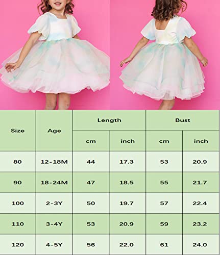 Baby Girl Puff Sleeve Square Neck One-Piece Tie-Dyed Mesh Dress Lace Layered Tulle Tutu Princess Dresses (Colorful, 18-24 Months) #TOP1