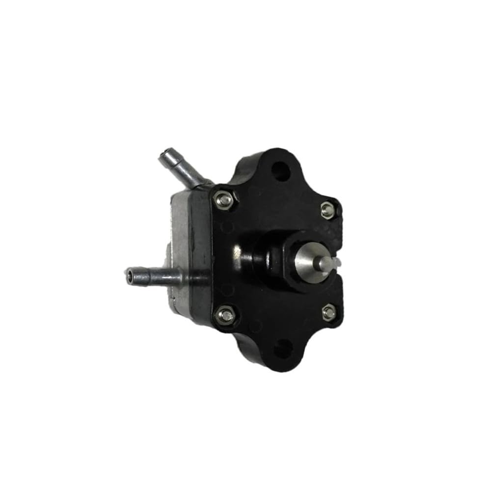 Pompe à carburant anti-calage pour corriger les ratés de moteur 15 Hp