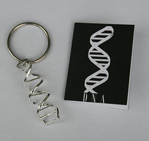 Dna Helix Science Key Chain #TOP4