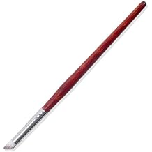 Dioche Nail Art Pen, Professional Nail Brush with Fine Tip for Drawing Lines and Flowers, Smooth Red Handle for Salon and Home Use