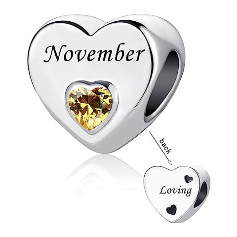 DWJSu November Birthstone Charm Heart Crystal Bead for Women Pandora Silver Birthday Mom Sister Family Friend Charms fit Bracelets Cover