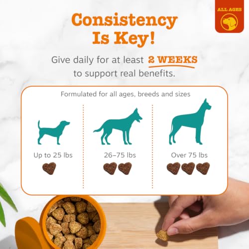 Image of Zesty Paws Calming Chews for Dogs - for Everyday Stress, Relaxation, Composure, and Separation Bison 90 Count