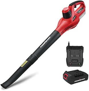 PowerSmart Cordless Leaf Blower - 117MPH, 120CFM, 20V 2.0Ah Lithium-ion Battery and Charger