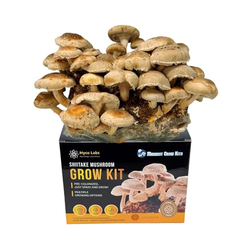 Shiitake Mushroom Grow Kit (5.5lbs) Grow Your Own Mushrooms at Home | Easy Indoor Grow Bag Kit