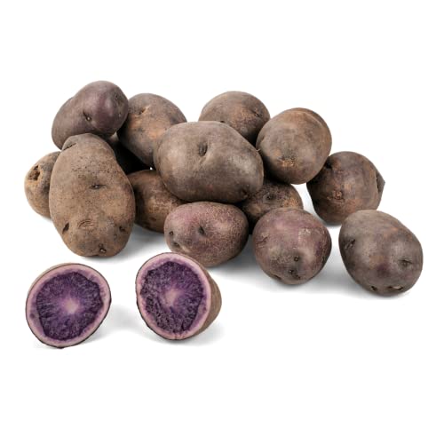 Bio Blaue Kartoffeln aus Deutschland | Bio Blaue Trüffelkartoffeln | Bio Gourmet Speisekartoffeln in Blau - vorwiegend festkochend (800 g)