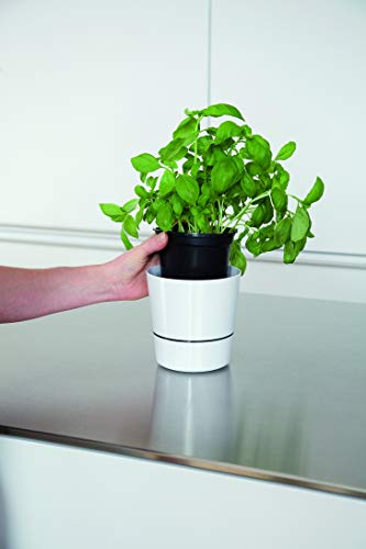 Mepal Kruidenpot groot, plastic, wit, diameter 13 cm - Image 6
