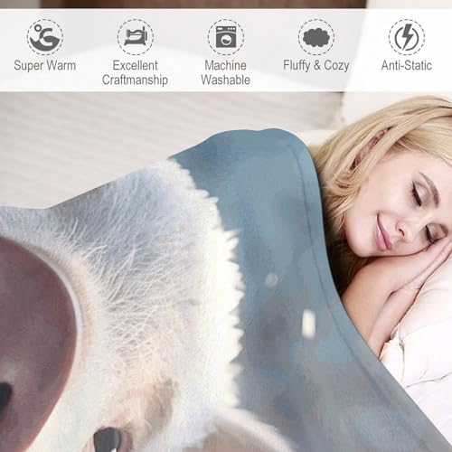 Couverture polaire lit toutes saisons, plaid doux imprimé cochon