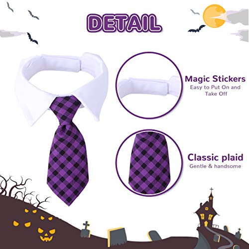 Xgdmeil Dog Halloween Costumes Halloween Cute Funny Spider Dog Wizard Hat And Purple Plaid Dog Necktie Set Halloween Puppy Cat Costume Pet Costumes For Small Dog Cat Apparel Party Dress Up Accessories #TOP5