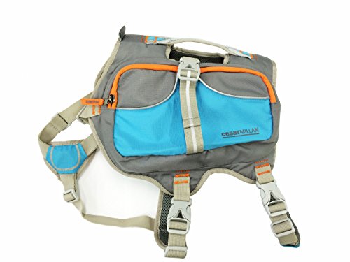 Cesar Millan Dog Backpack™ - Hunderucksack des Hundeflüsterers Cesar Millan™