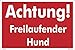 Produktbild Schild 30 x 20 cm -Achtung! Freilaufender Hund - Aluminiumverbundplatte