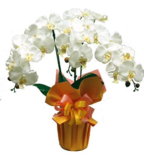 G} Ӓ  3{ (zCgCG[) 䏸i a j Vzj JXj R`E Mtg v[g