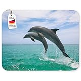 tapis de souris dauphin Impression dauphin mer nette et résistante à l'abrasion avec une brillance des couleurs durable. Le motif d'animaux marins aux couleurs intenses est de qualité supérieure et conserve sa luminosité, sa netteté et son design attrayant même après une utilisation quotidienne intensive.